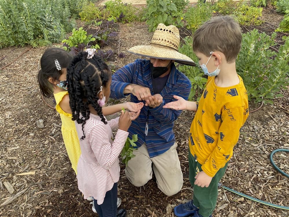Students on the Farm